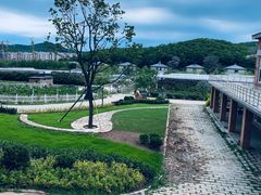 -北马山庄植趣咖啡