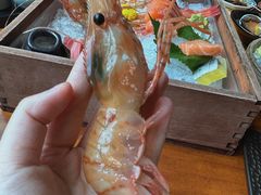 -月龍吟(朝龙汇店)
