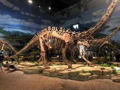 -自贡恐龙博物馆