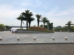 -宝安西湾红树林湿地公园