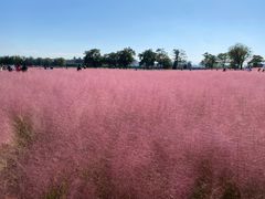 -汉长安城未央宫国家考古遗址公园