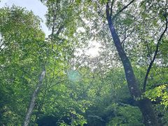 -帽儿山风景区