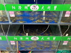 -阳澄湖大闸蟹·琼灵阁牌品牌连锁(吴中总店)