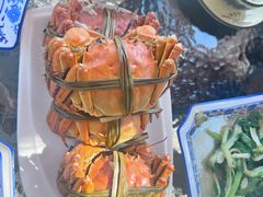 -水岸居湖景农家乐·阳澄湖大闸蟹