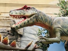 -国家自然博物馆