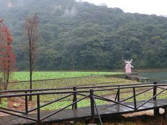 -广州市石门国家森林公园