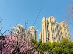 -堤角公园