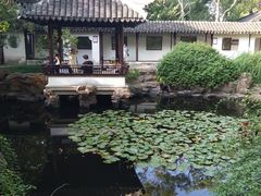 -上海醉白池公园