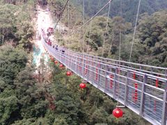 -九龙江国家森林公园