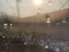 -盘龙城国家考古遗址公园