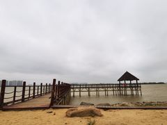 -瑶湖郊野森林公园