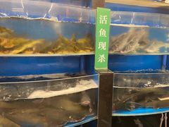 -鸽子刘铁锅炖鱼(劲松店)