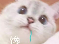 -野妹经典火锅(保利店)