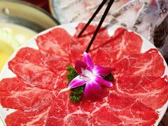 -禄婶鸡煲·打边炉