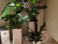 -泰合玺·精油疗愈 SPA(南京河西万达店)