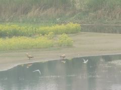 -玉龙沙湖景区