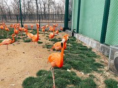 -秦皇岛野生动物园