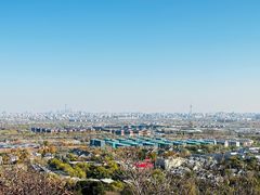 -北京西山国家森林公园