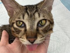 -拜鲁耶动物诊疗中心·宠家动物医院