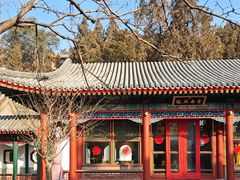 -宫事颐庭·老佛爷贵寿下午茶(颐和园店)