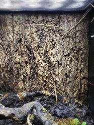 -酷嗒动物文化乐园(cutezoo西溪乐天城店)