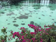 -卡帕莱度假村(西巴丹岛)