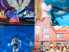 -海合安武汉极地海洋公园