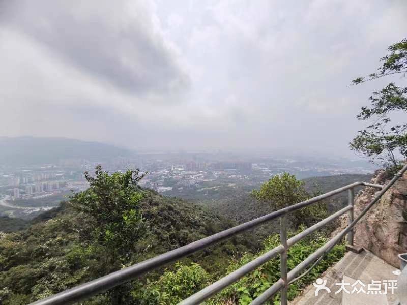 鼎湖山风景区图片