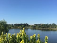 -东郊湿地公园