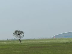 -敕勒川草原