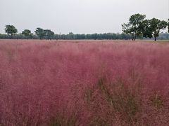 -汉长安城未央宫国家考古遗址公园