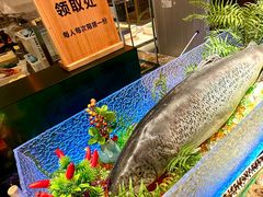 -黑金·寻焰自助百汇·烤肉·火锅(中街店)