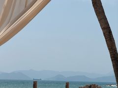 -精酿农场Brew Farm·沙漠绿洲餐厅