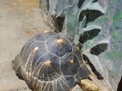 -石家庄市动物园