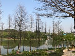 -东莞植物园