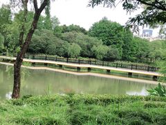 -黄兴公园