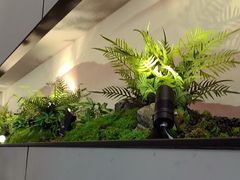 -绿茶餐厅(滨海万达广场店)