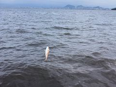 -鑫艋游艇海钓俱乐部