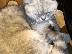 -不舍昼夜咖啡馆