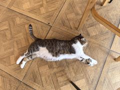 -LOOKA COFFEE(大鹏所城店)