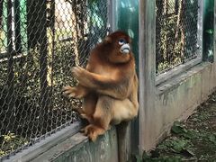 -西安秦岭野生动物园