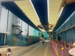 -海合安成都极地海洋公园