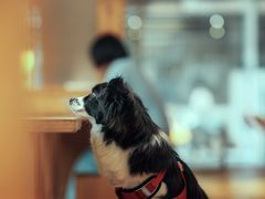 -玉林生活广场