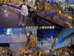 -广东省博物馆