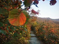 -香山公园
