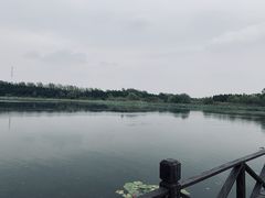 -溱湖国家湿地公园