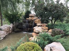 -武清南湖绿博园