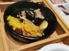 -新仙清汤牛腩(铜锣湾店)