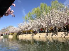 -元大都城垣遗址公园
