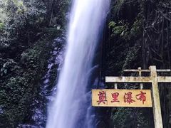 -莫里热带雨林景区
